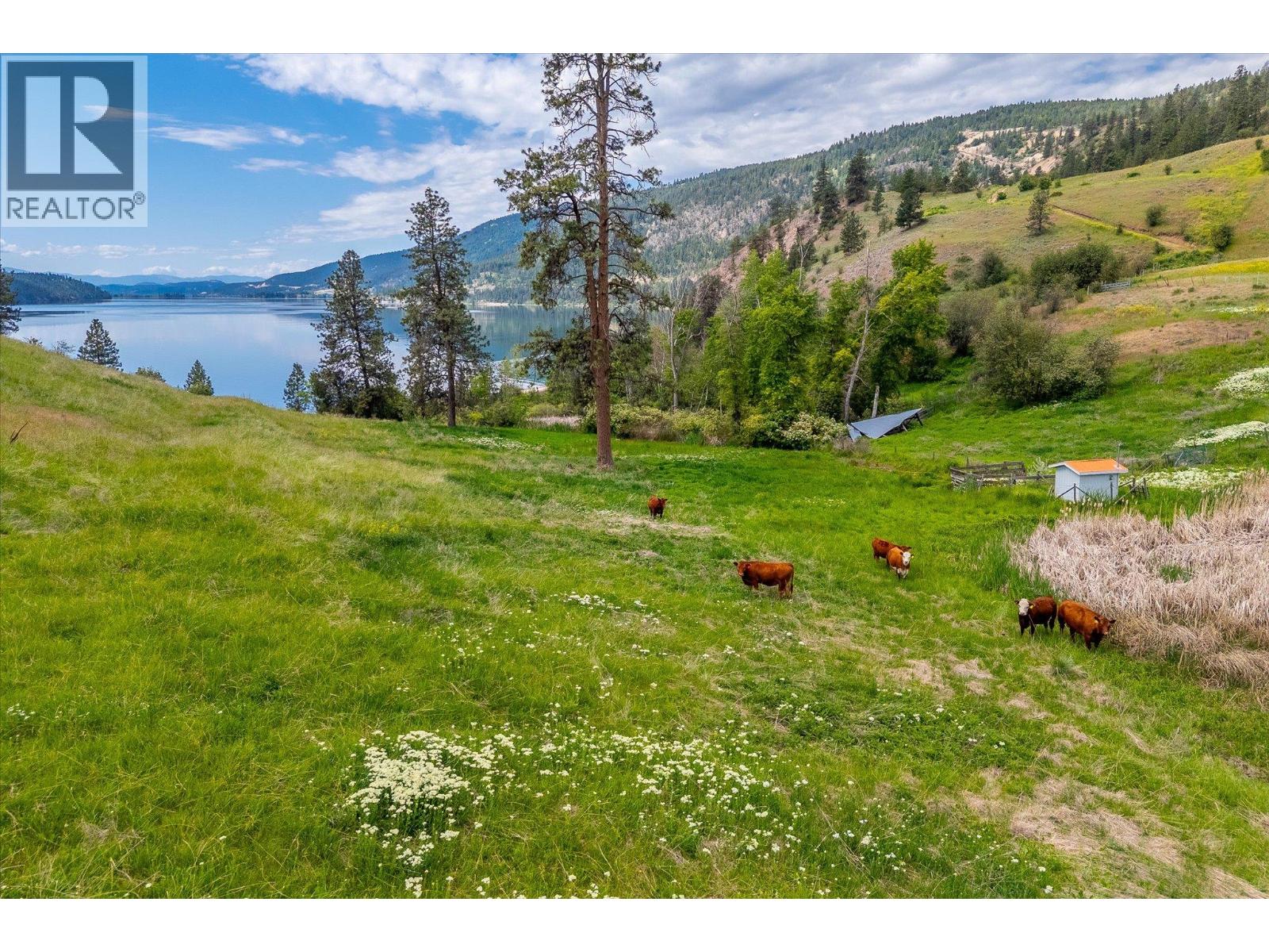 201 Highway 97, Vernon, British Columbia  V1H 1G1 - Photo 25 - 10391007