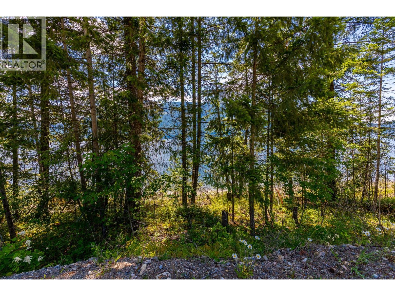 Sunnybrae-Canoe Point Road Unit# 2, Tappen, British Columbia  V0E 2X1 - Photo 13 - 10393542