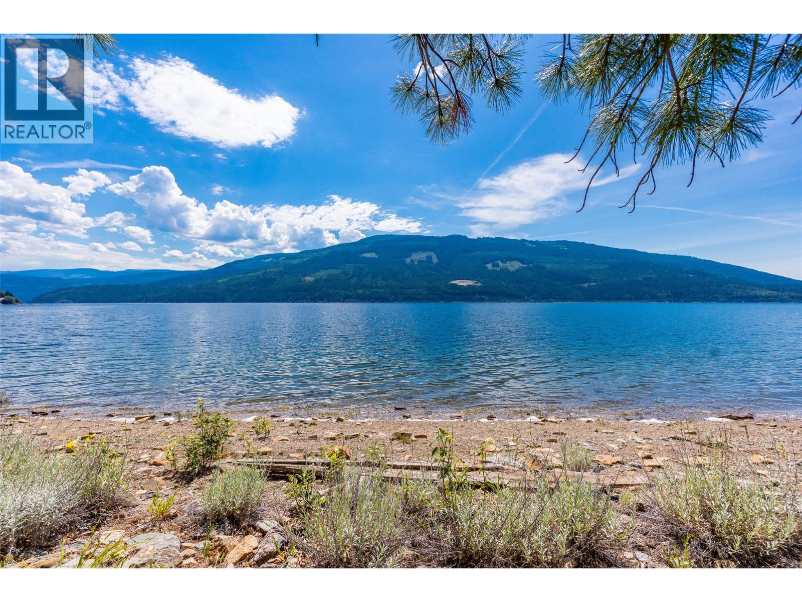 Sunnybrae-Canoe Point Road Unit# 2, Tappen, British Columbia  V0E 2X1 - Photo 16 - 10393542