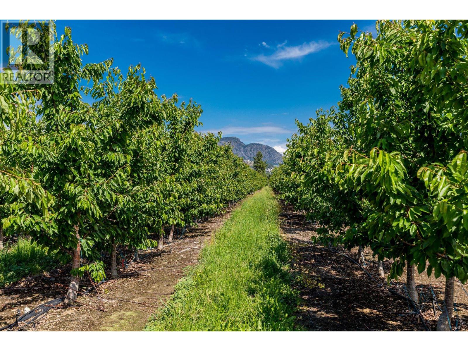 2775 Dunster Road, Kelowna, British Columbia  V1V 4H4 - Photo 13 - 10389143