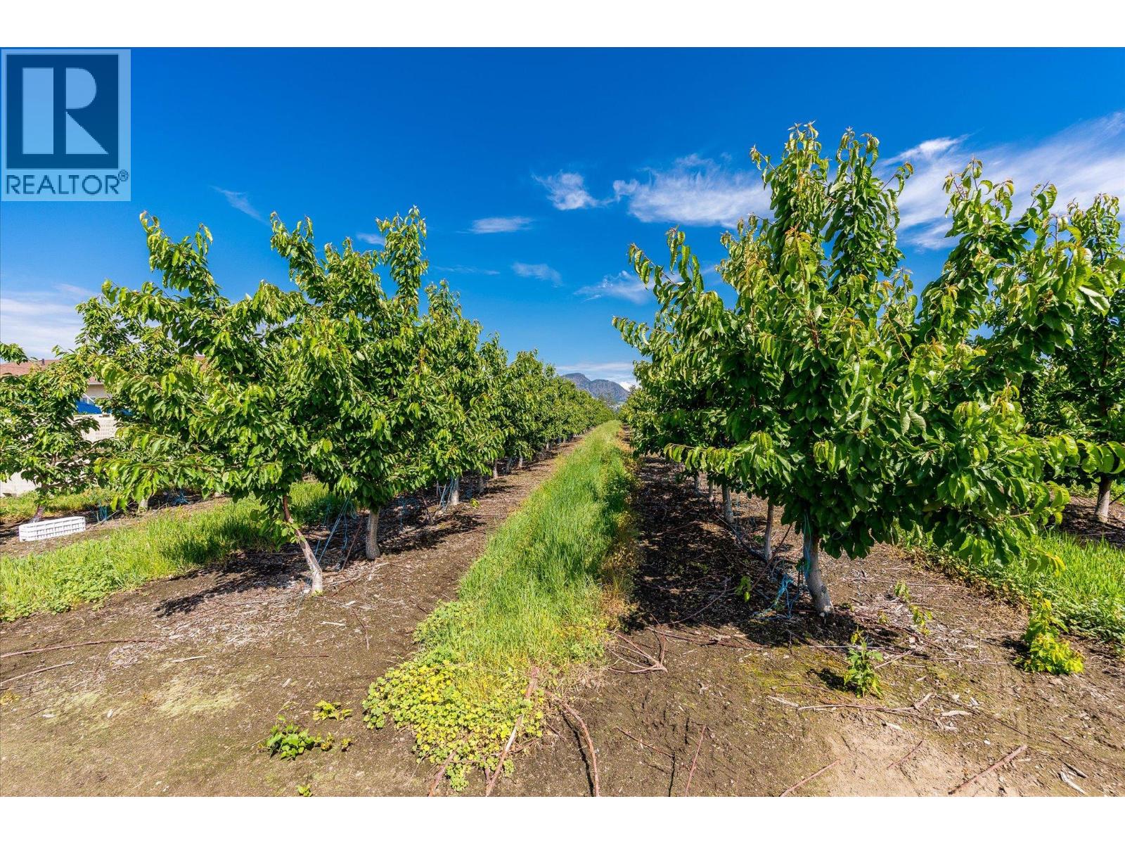2775 Dunster Road, Kelowna, British Columbia  V1V 4H4 - Photo 15 - 10389143