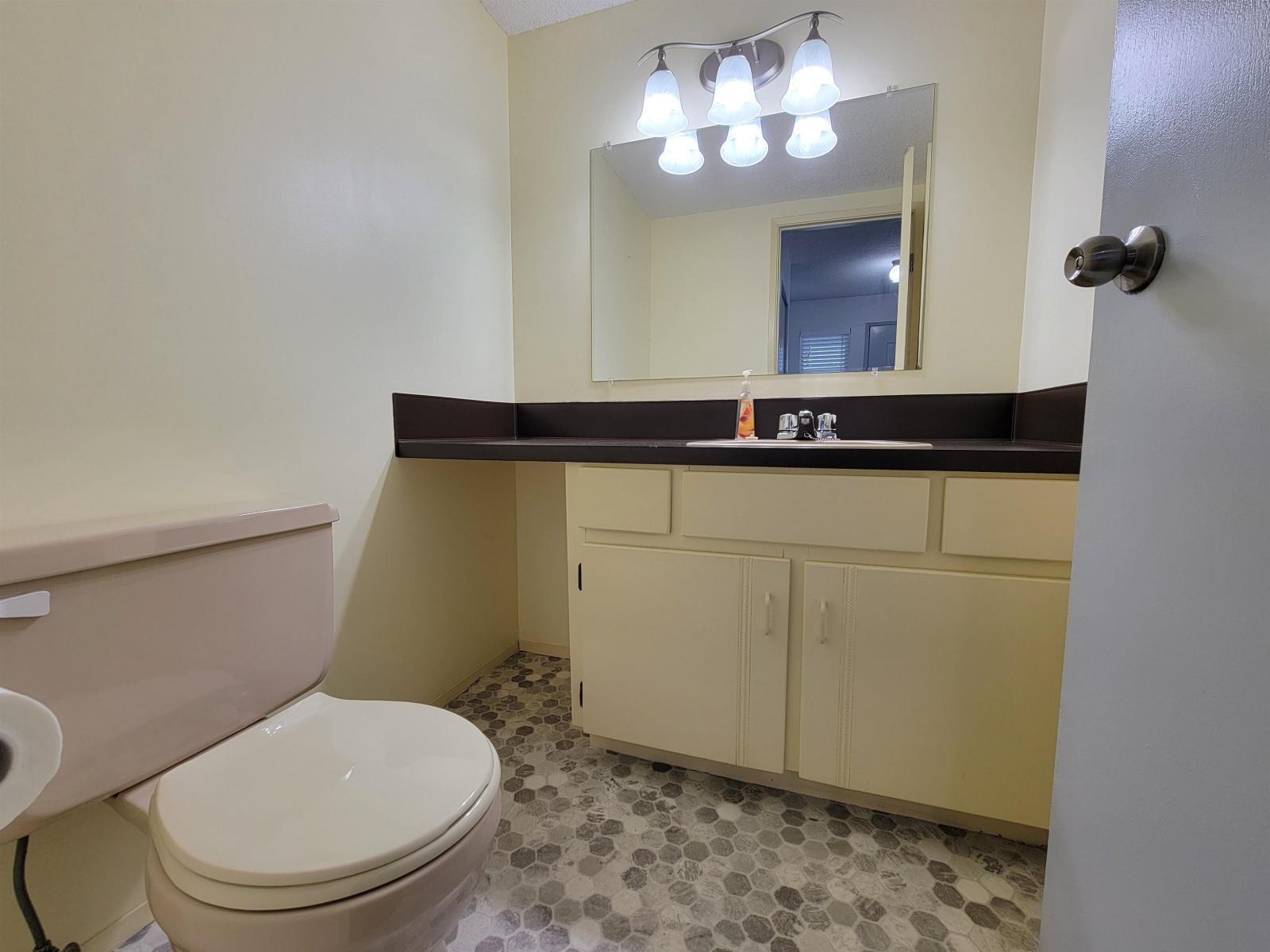 14741 101a Avenue, Surrey, British Columbia  V3R 7E7 - Photo 14 - R3155751