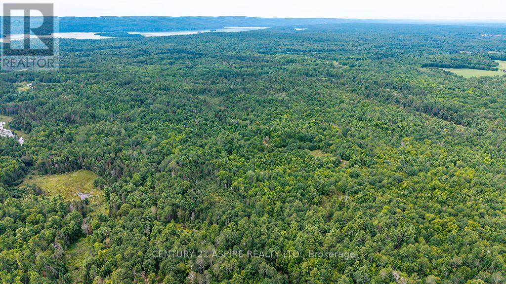 00 O'brien Road, Bonnechere Valley, Ontario  K0J 1T0 - Photo 17 - X13677270