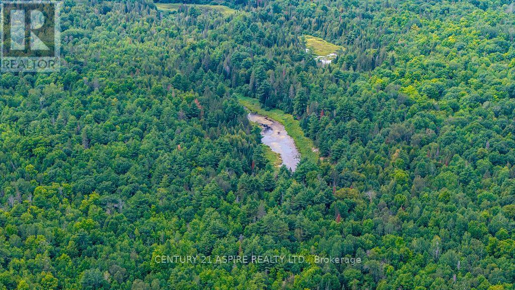 00 O'brien Road, Bonnechere Valley, Ontario  K0J 1T0 - Photo 18 - X13677270