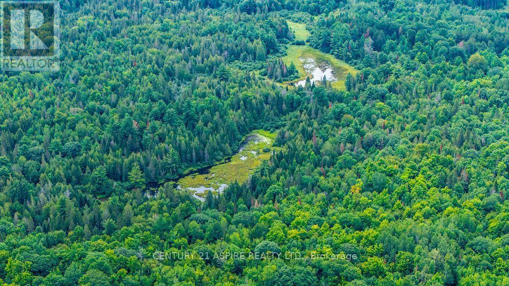00 O'brien Road, Bonnechere Valley, Ontario  K0J 1T0 - Photo 19 - X13677270