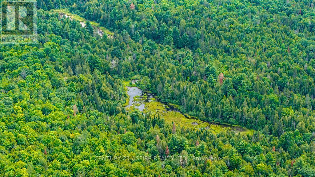 00 O'brien Road, Bonnechere Valley, Ontario  K0J 1T0 - Photo 20 - X13677270