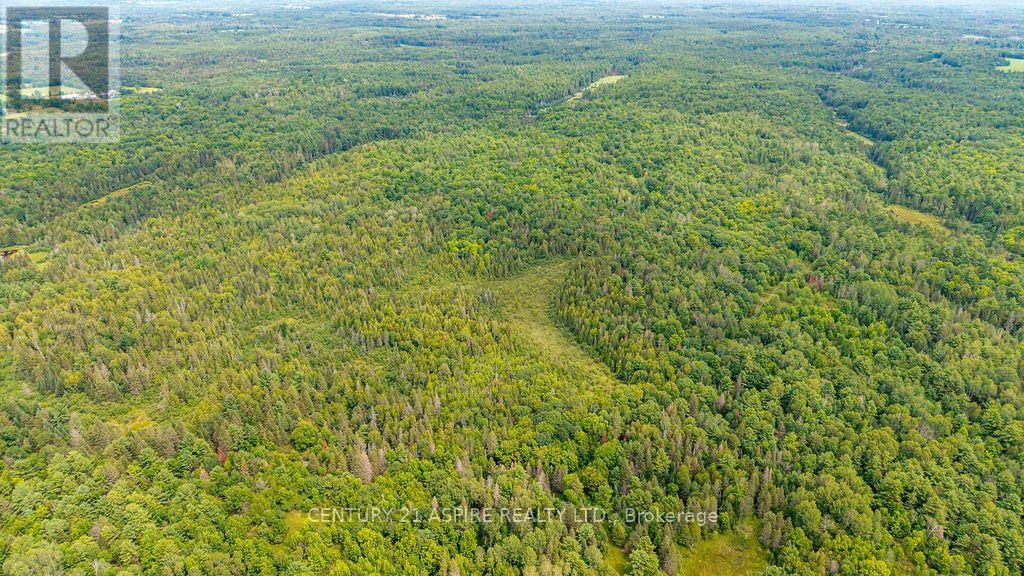 00 O'brien Road, Bonnechere Valley, Ontario  K0J 1T0 - Photo 21 - X13677270