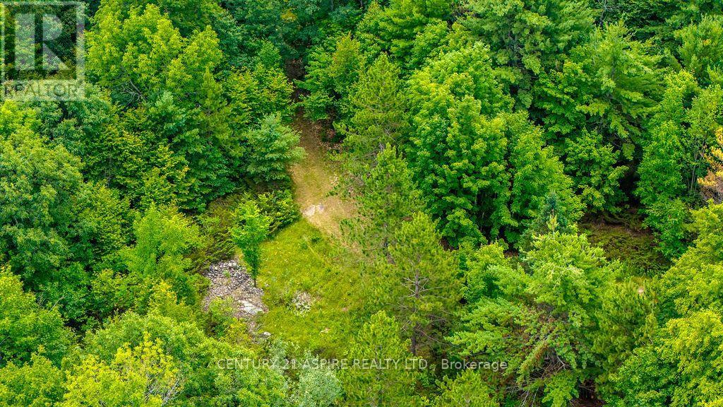00 O'brien Road, Bonnechere Valley, Ontario  K0J 1T0 - Photo 26 - X13677270