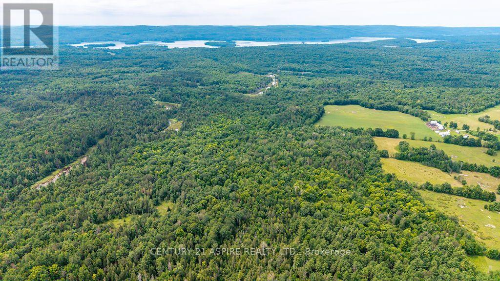 00 O'brien Road, Bonnechere Valley, Ontario  K0J 1T0 - Photo 28 - X13677270