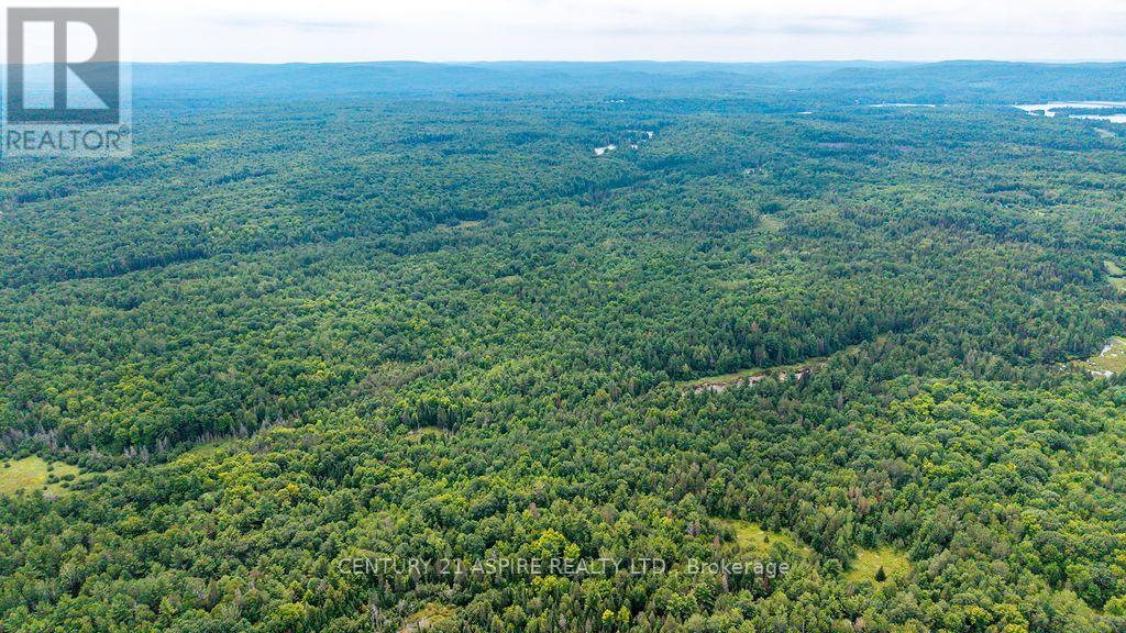 00 O'brien Road, Bonnechere Valley, Ontario  K0J 1T0 - Photo 29 - X13677270