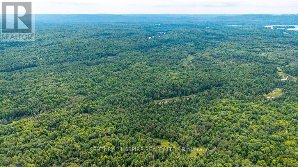 00 O'brien Road, Bonnechere Valley, Ontario  K0J 1T0 - Photo 30 - X13677270