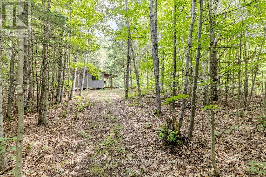 00 O'brien Road, Bonnechere Valley, Ontario K0J 1T0 - Photo 5 - X13677270