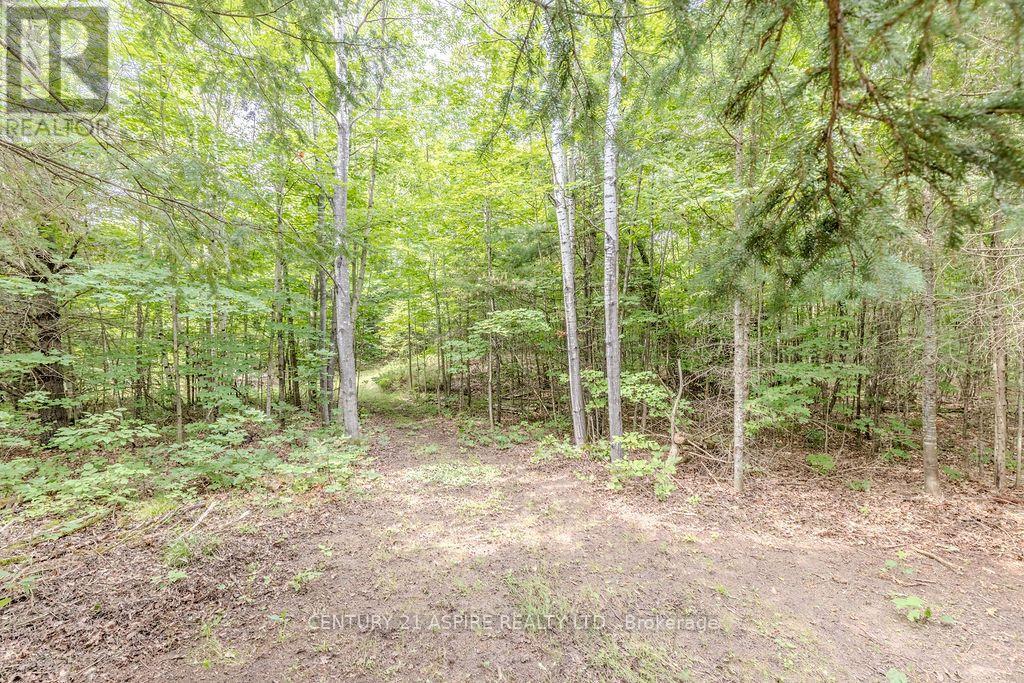 00 O'brien Road, Bonnechere Valley, Ontario K0J 1T0 - Photo 7 - X13677270