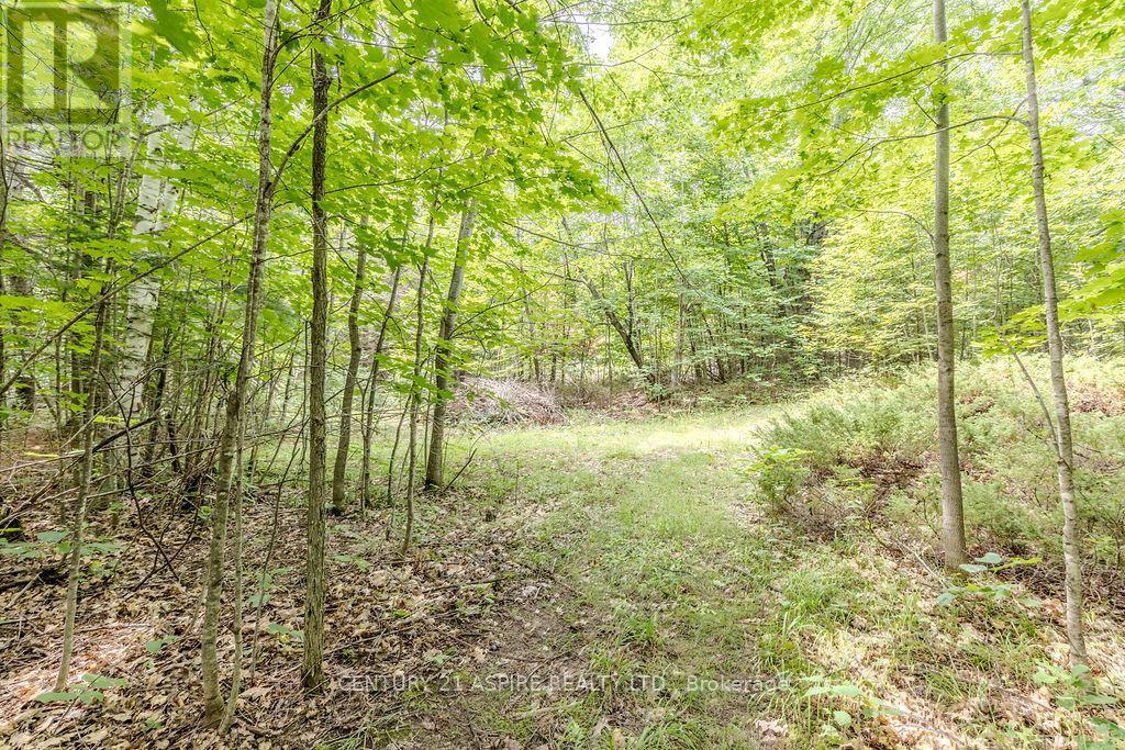 00 O'brien Road, Bonnechere Valley, Ontario  K0J 1T0 - Photo 8 - X13677270