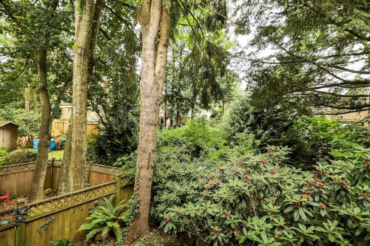 41 10555 153 Street, Surrey, British Columbia  V3R 4H8 - Photo 35 - R3147650