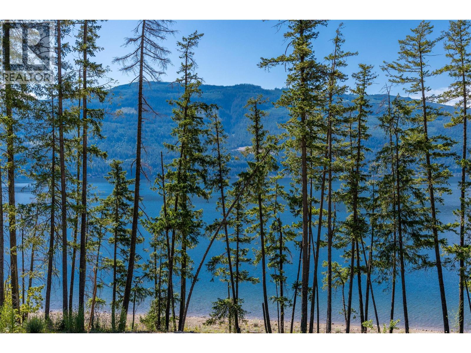 4990 Sunnybrae-Canoe Point Road Unit# 2, Tappen, British Columbia  V0E 2X1 - Photo 50 - 10393526