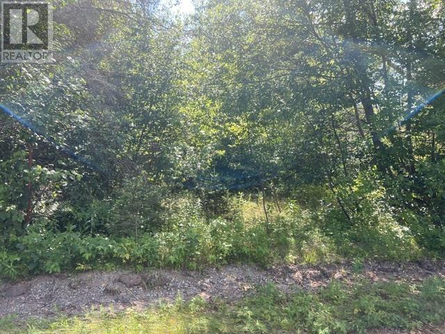 60 Mississagi, Iron Bridge, Ontario P0R 1H0 - Photo 2 - SM262180
