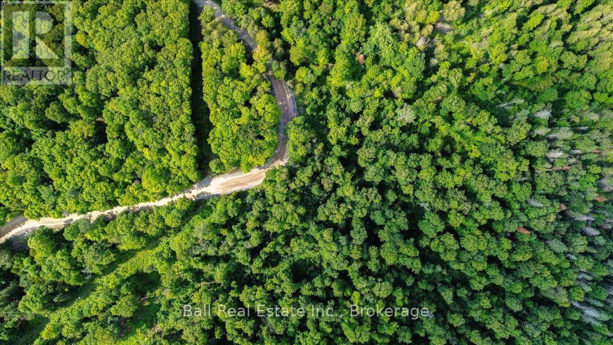 390 St Ola Road, Limerick, Ontario  K0L 1W0 - Photo 10 - X13677634