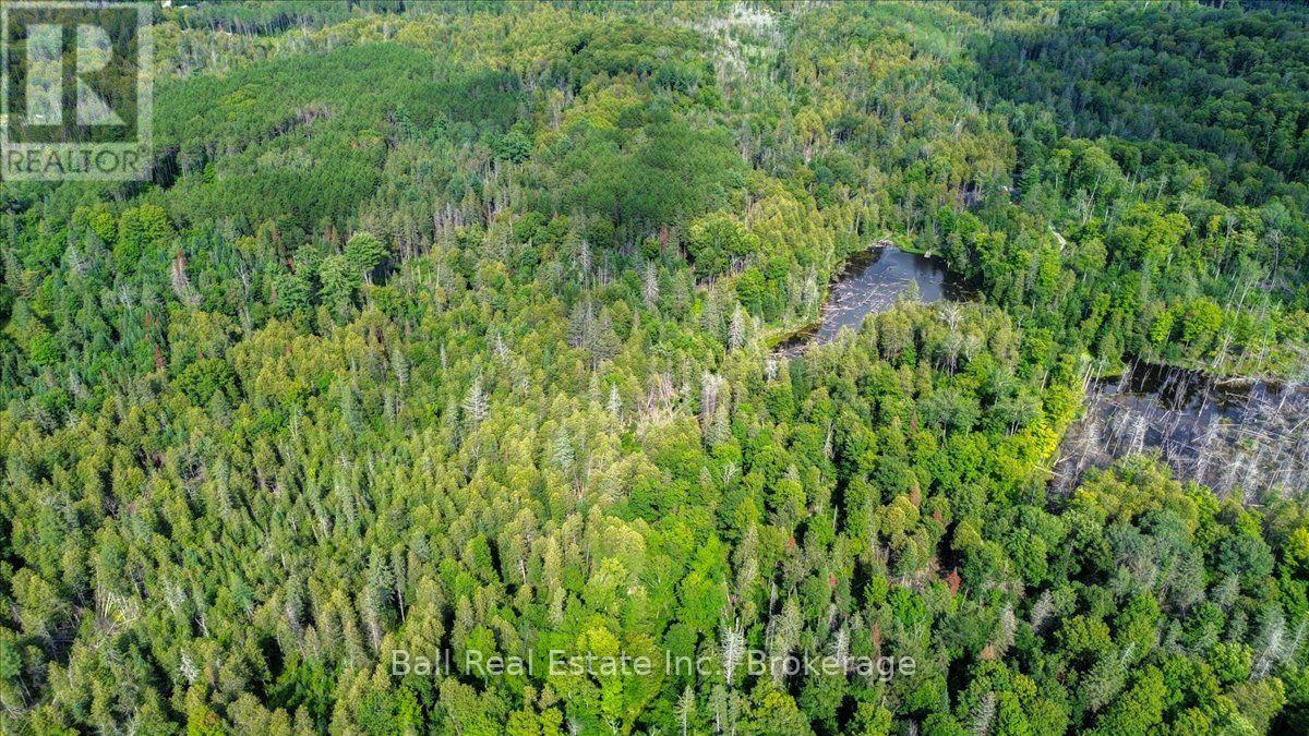 390 St Ola Road, Limerick, Ontario  K0L 1W0 - Photo 11 - X13677634