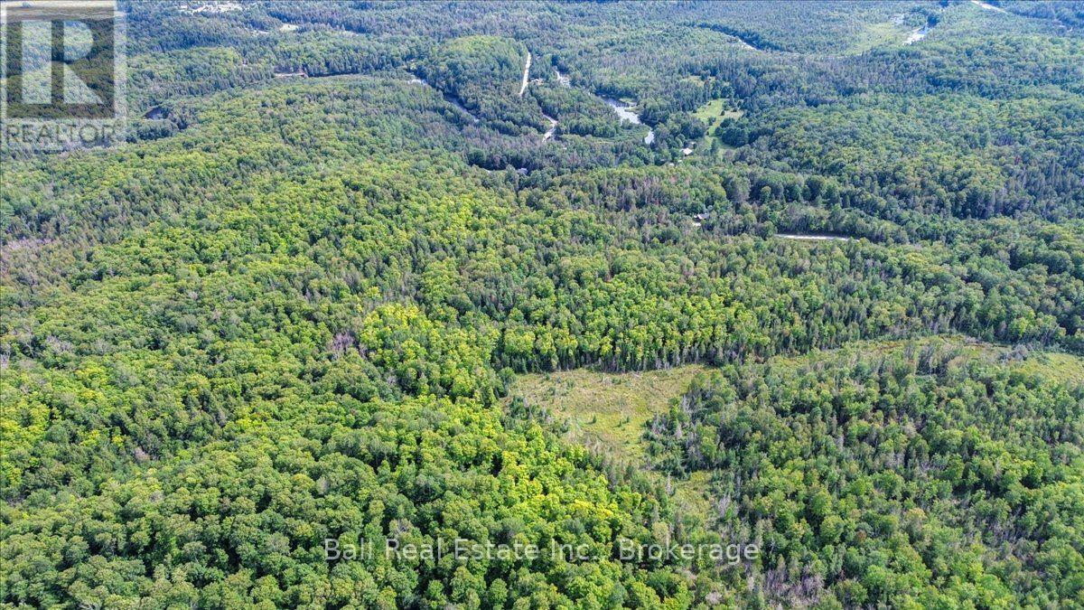 390 St Ola Road, Limerick, Ontario  K0L 1W0 - Photo 5 - X13677634