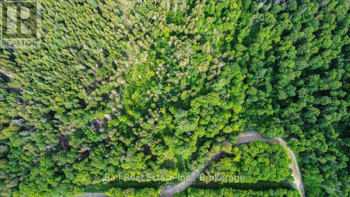 390 St Ola Road, Limerick, Ontario  K0L 1W0 - Photo 6 - X13677634