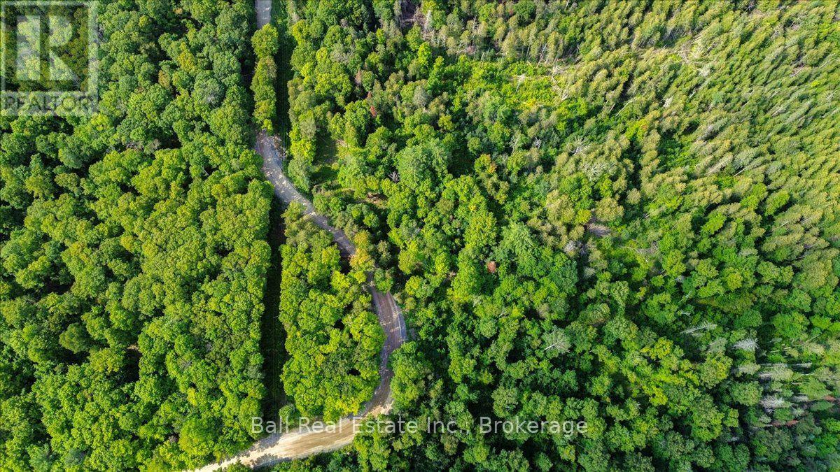 390 St Ola Road, Limerick, Ontario  K0L 1W0 - Photo 9 - X13677634