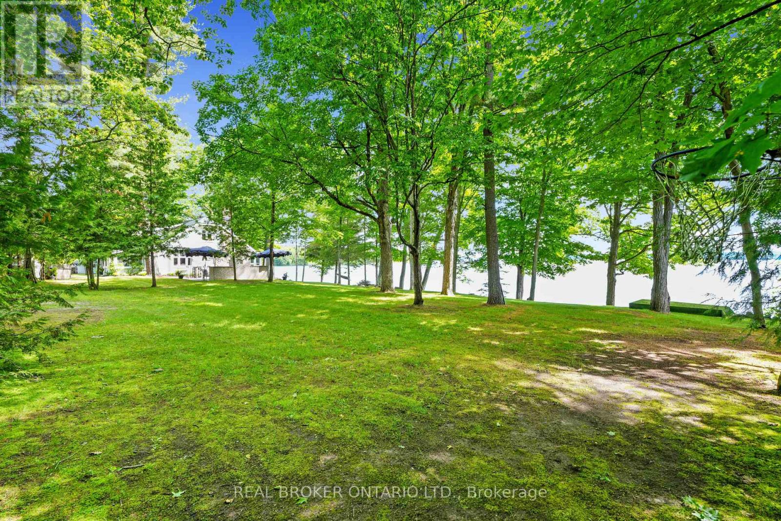 2021 Third Line, Douro-Dummer, Ontario  K0L 2H0 - Photo 3 - X13126312