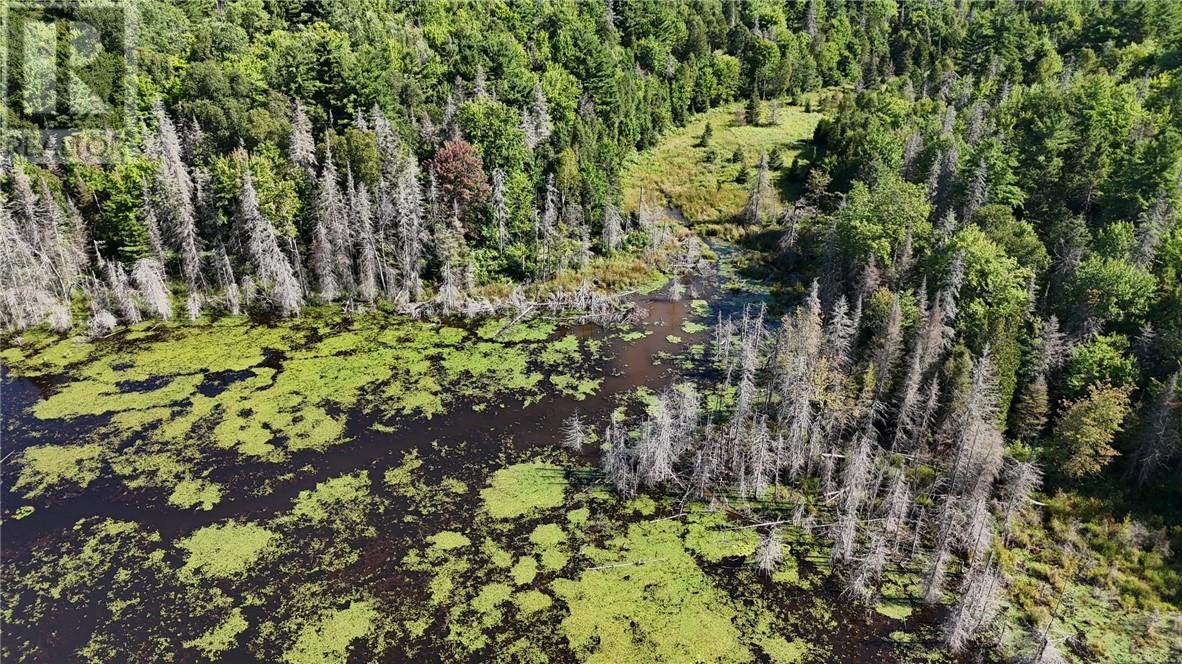 N/a Hwy 17/beckerton Shooting Range Rd, Spanish, Ontario  P0P 2A0 - Photo 10 - 2129762