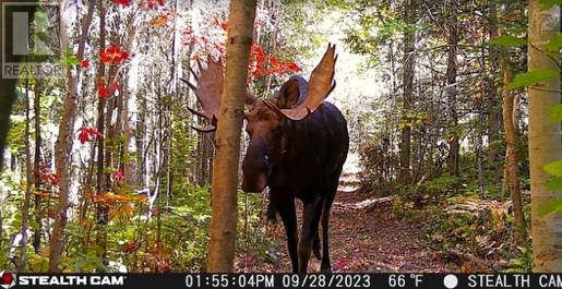 N/a Hwy 17/beckerton Shooting Range Rd, Spanish, Ontario  P0P 2A0 - Photo 2 - 2129762
