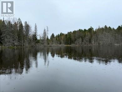 N/a Hwy 17/beckerton Shooting Range Rd, Spanish, Ontario  P0P 2A0 - Photo 20 - 2129762
