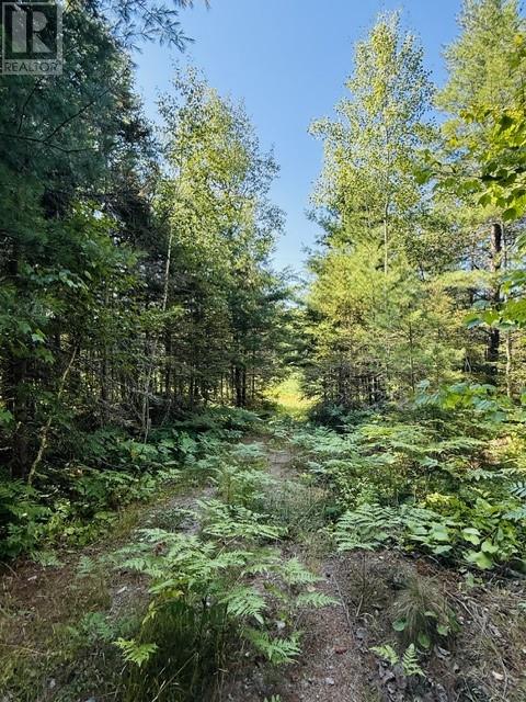 N/a Hwy 17/beckerton Shooting Range Rd, Spanish, Ontario  P0P 2A0 - Photo 47 - 2129762