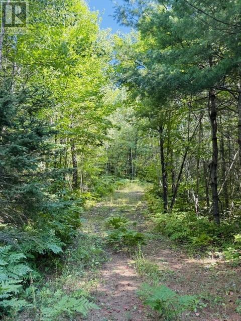 N/a Hwy 17/beckerton Shooting Range Rd, Spanish, Ontario  P0P 2A0 - Photo 49 - 2129762