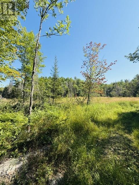 N/a Hwy 17/beckerton Shooting Range Rd, Spanish, Ontario  P0P 2A0 - Photo 50 - 2129762