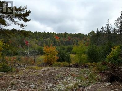 N/a Hwy 17/beckerton Shooting Range Rd, Spanish, Ontario  P0P 2A0 - Photo 64 - 2129762
