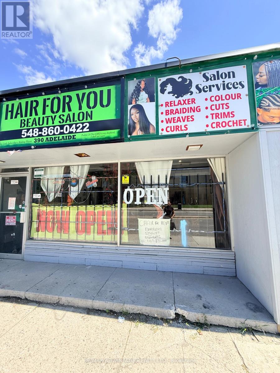 390 Adelaide Street N, London East, Ontario N6B 3H6 - Photo 9 - X13677700
