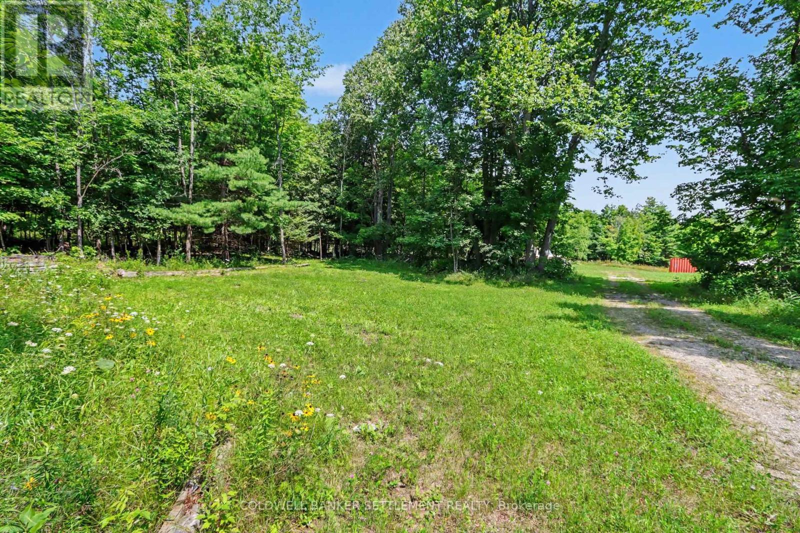 1040 Concession 7 Dalhousie Concession, Lanark Highlands, Ontario K0G 1M0 - Photo 7 - X13677846