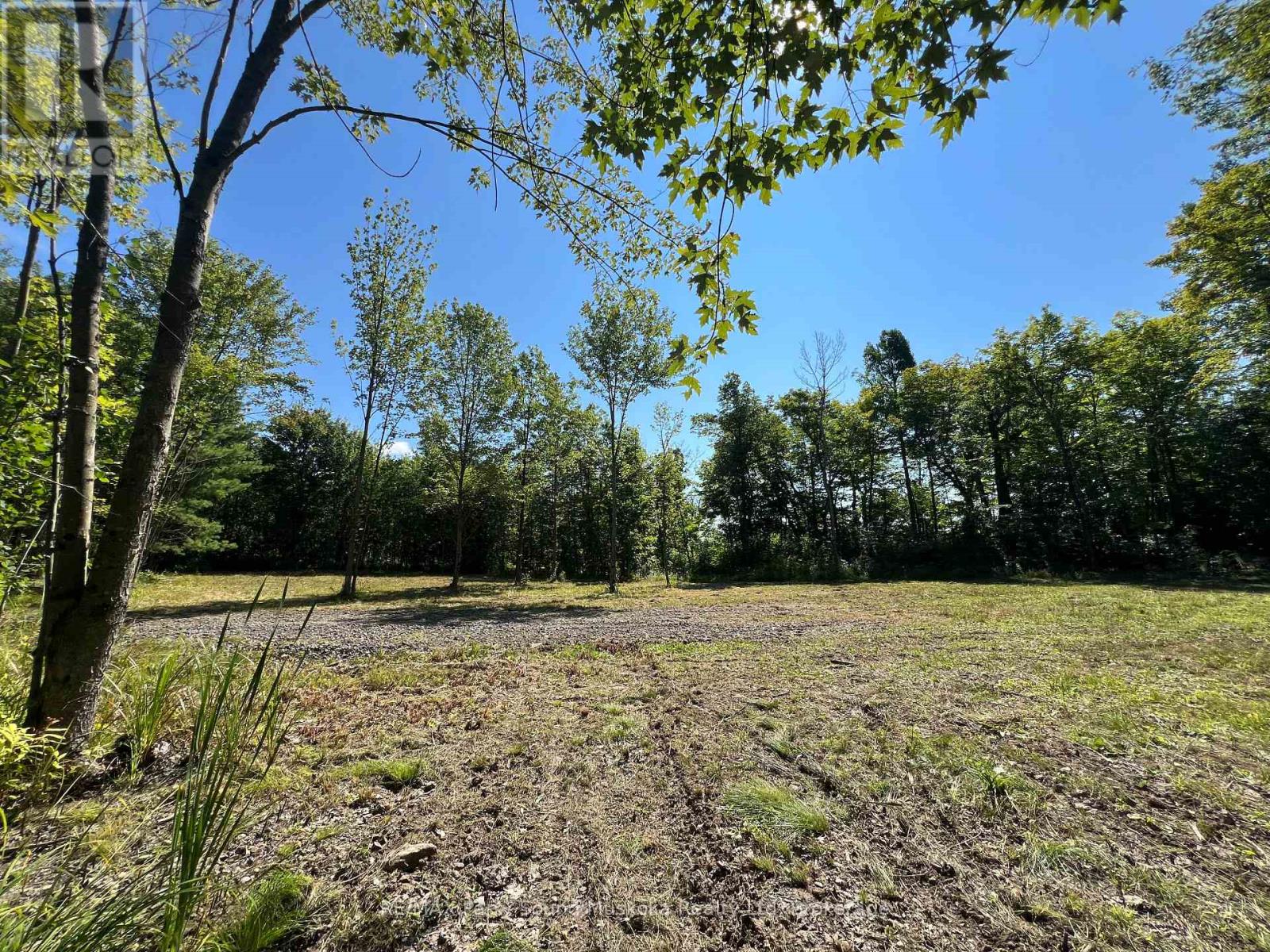 0 Taits Island Road, Mckellar, Ontario P2A 0B4 - Photo 8 - X13677814