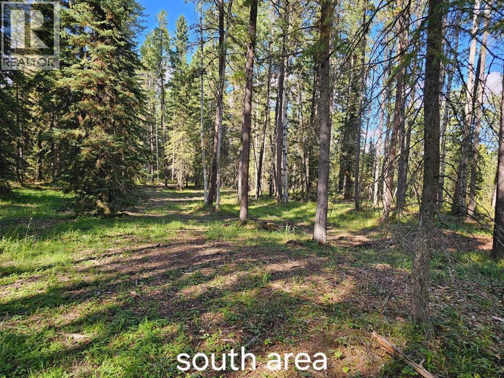 Pine Ridge Alley, Rural Clearwater County, Alberta  T4T 1A7 - Photo 1 - A2317022