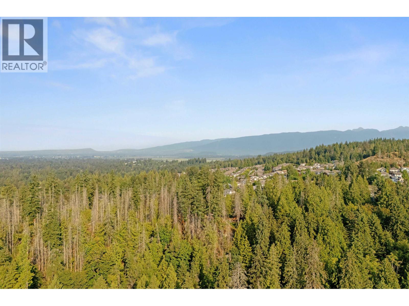 13175 239b Street, Maple Ridge, British Columbia  V4R 0A3 - Photo 39 - R3155953