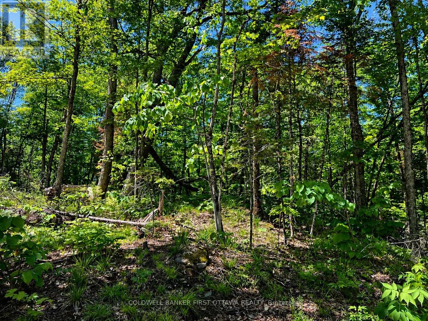 0 Buckshot Lake Road, Addington Highlands, Ontario  K0H 1K0 - Photo 12 - X13423974