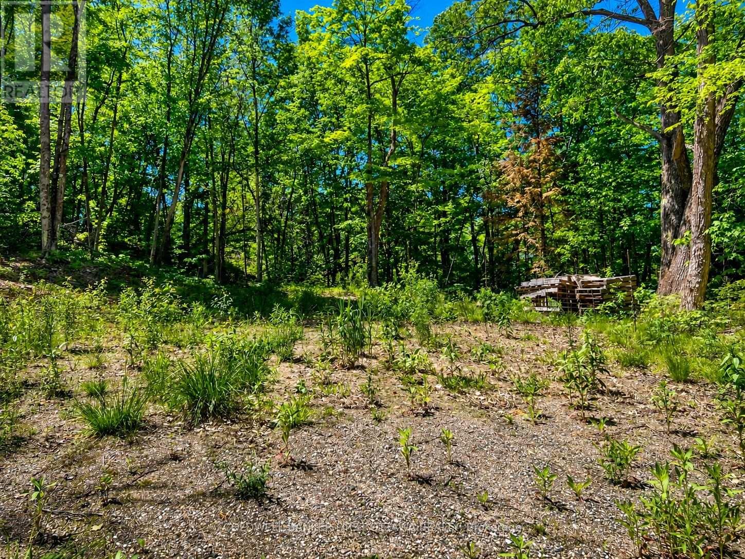 0 Buckshot Lake Road, Addington Highlands, Ontario  K0H 1K0 - Photo 13 - X13423974