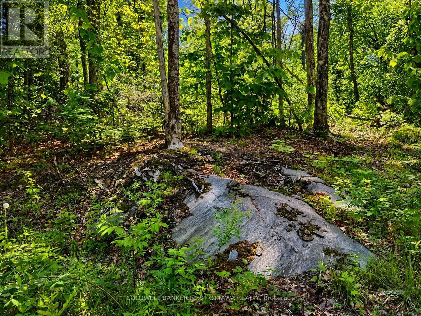 0 Buckshot Lake Road, Addington Highlands, Ontario  K0H 1K0 - Photo 5 - X13423974
