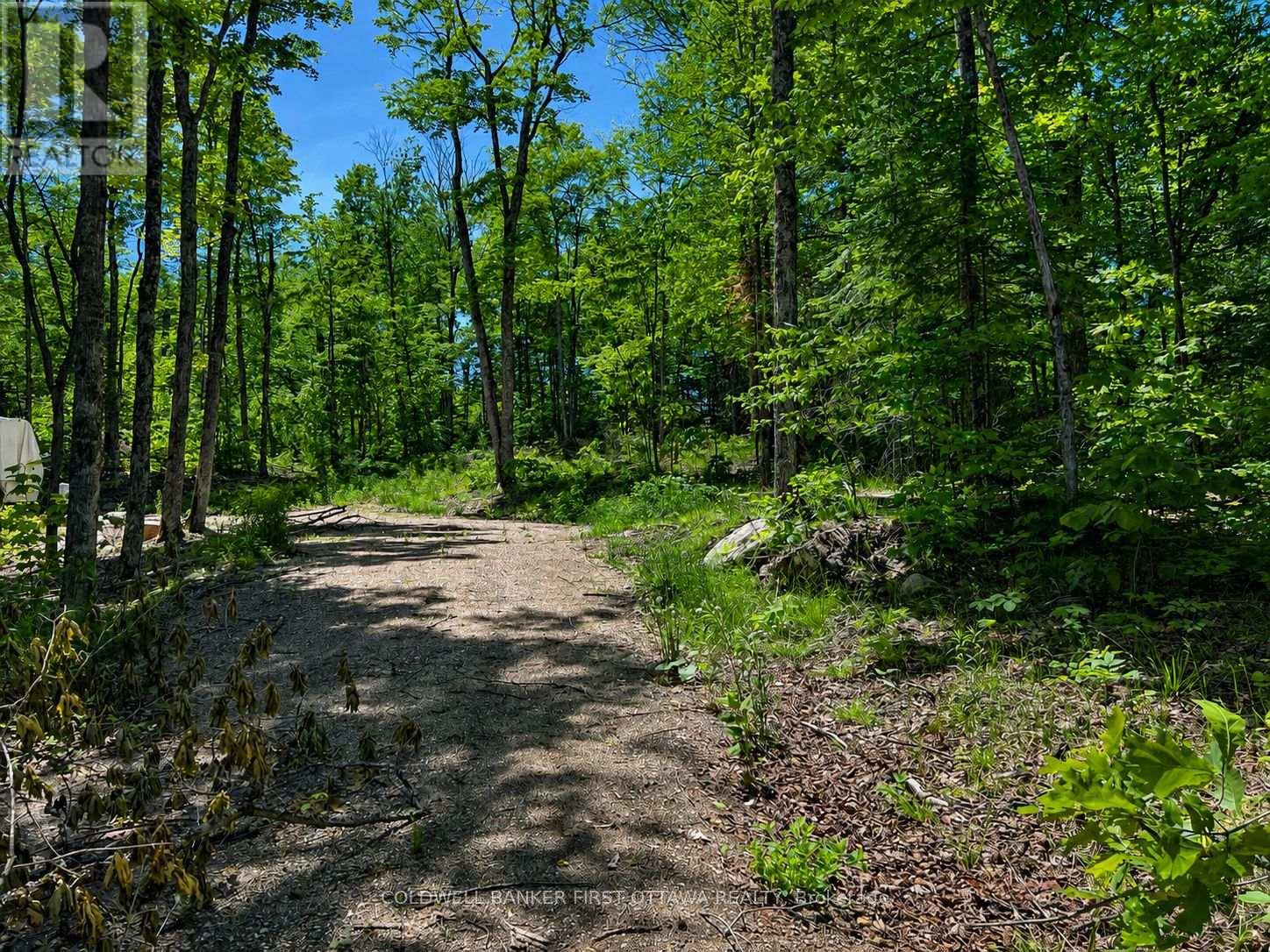 0 Buckshot Lake Road, Addington Highlands, Ontario  K0H 1K0 - Photo 2 - X13423974