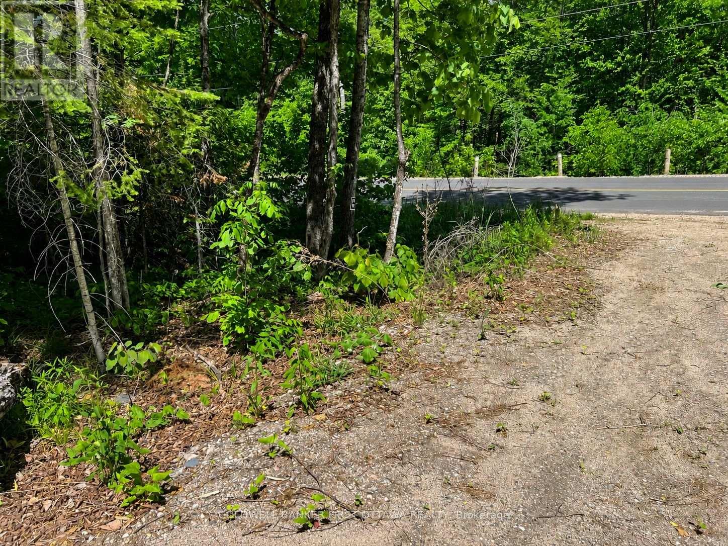 0 Buckshot Lake Road, Addington Highlands, Ontario  K0H 1K0 - Photo 4 - X13423974