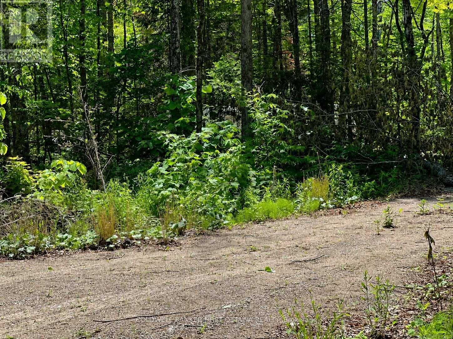 0 Buckshot Lake Road, Addington Highlands, Ontario  K0H 1K0 - Photo 3 - X13423974