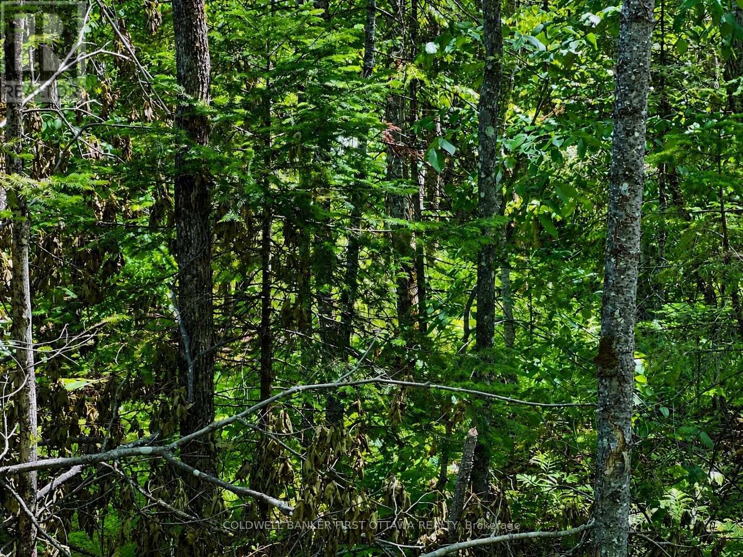 0 Buckshot Lake Road, Addington Highlands, Ontario  K0H 1K0 - Photo 7 - X13423974