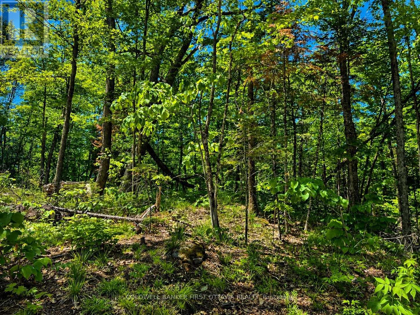 0 Buckshot Lake Road, Addington Highlands, Ontario  K0H 1K0 - Photo 6 - X13423974
