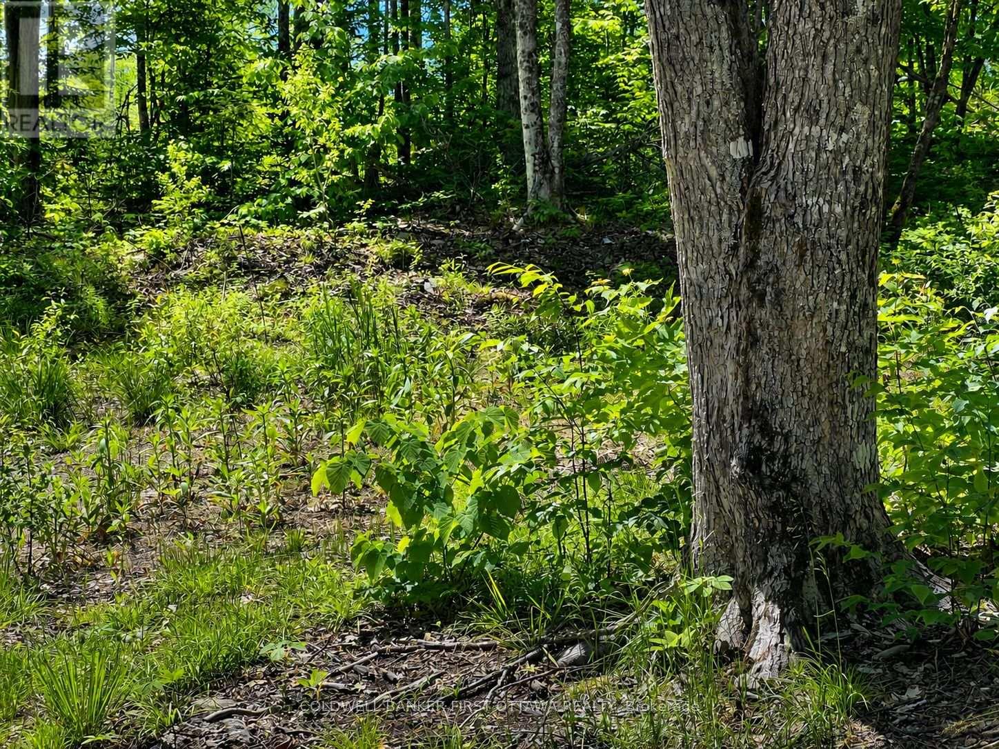 0 Buckshot Lake Road, Addington Highlands, Ontario  K0H 1K0 - Photo 8 - X13423974