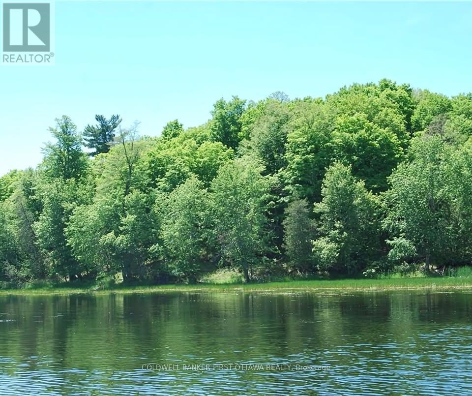 0 Stewart's Island, Drummond/north Elmsley, Ontario K0G 1A0 - Photo 4 - X13521760