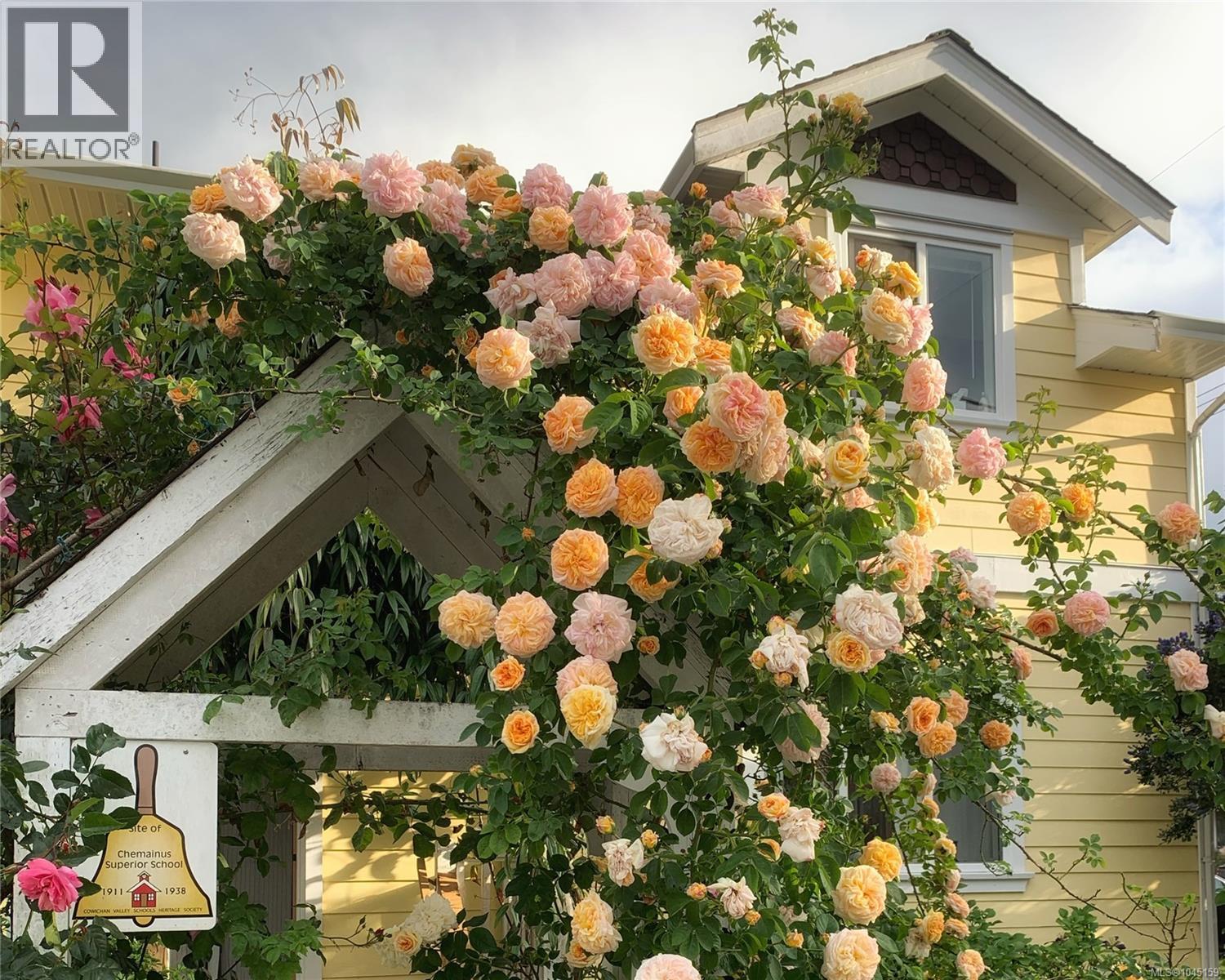 2920 Pine St, Chemainus, British Columbia  V0R 1K1 - Photo 6 - 1045159